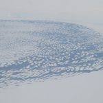 IMG_1840